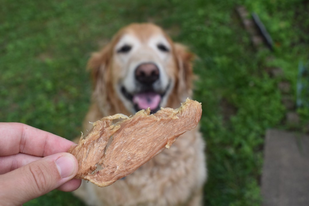 Dehydrated Chicken Treats for Dogs, Cats, & Ferrets Etsy