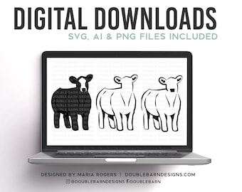 Show Steer | Baldie Cattle Design - SVG - PNG - AI