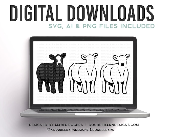 Show Steer | Baldie Cattle Design - SVG - PNG - AI