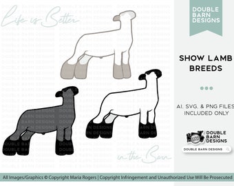 Show Lamb Breeds | Digital Download | AI SVG PNG