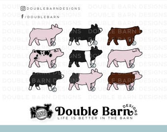 Show Pig Breeds Clipart: York, Cross, Hamp, Berk, Spot, Duroc (Digital Download)