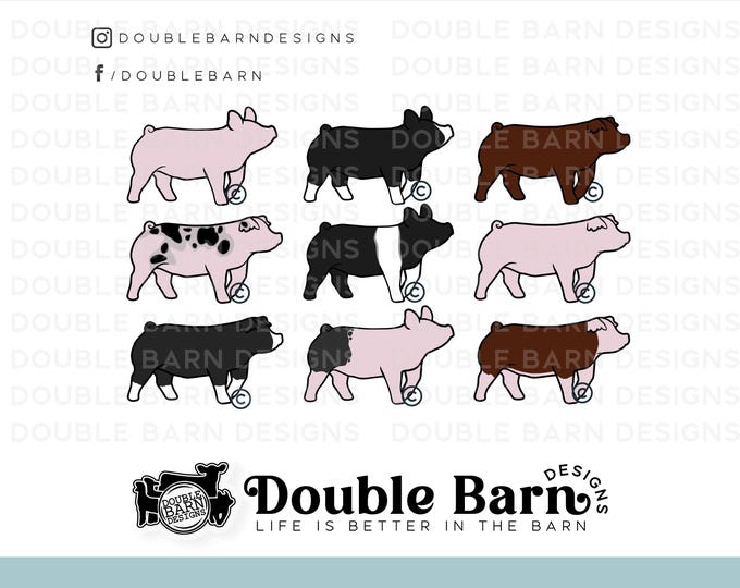 Show Pig Breeds Clipart: York, Cross, Hamp, Berk, Spot, Duroc (Digital Download)