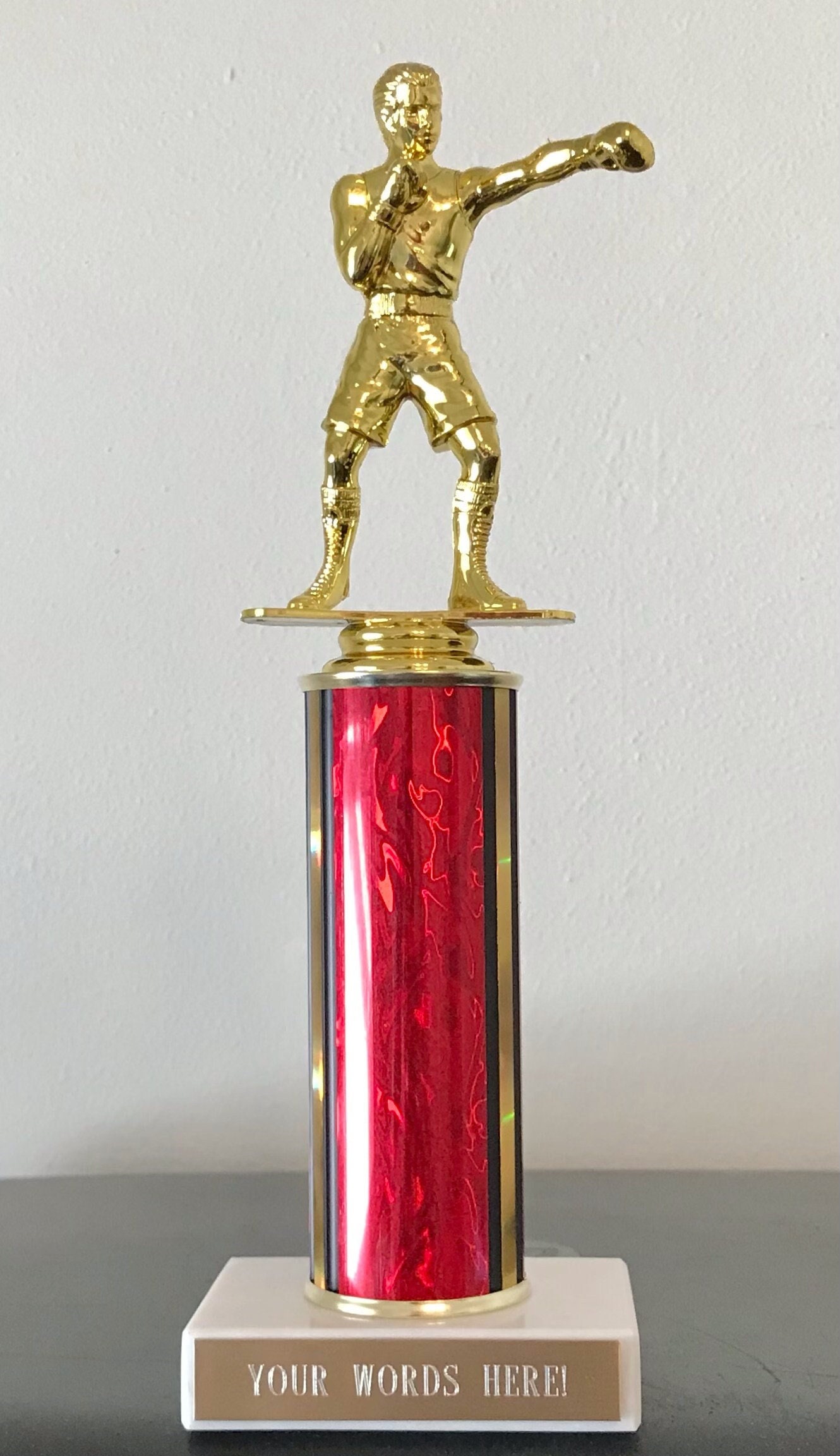 耐熱 二層 足あとぐらす (M) Boxing Trophy, 14"Silver Cup Boxing Award Trophies with  Free Personalization, 10枚組