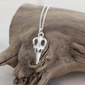 May include: Silver necklace with a bird skull pendant. The pendant is detailed and has a delicate chain.