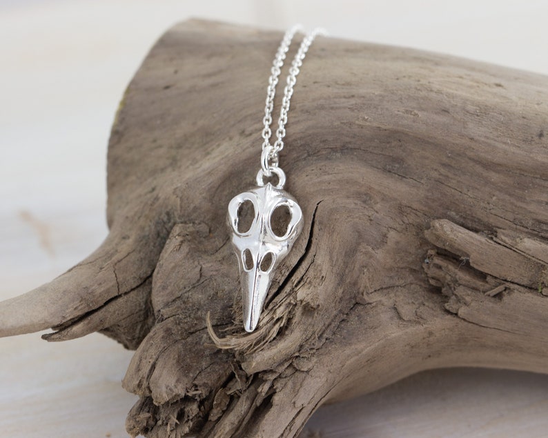 May include: Silver necklace with a bird skull pendant. The pendant is detailed and has a delicate chain.