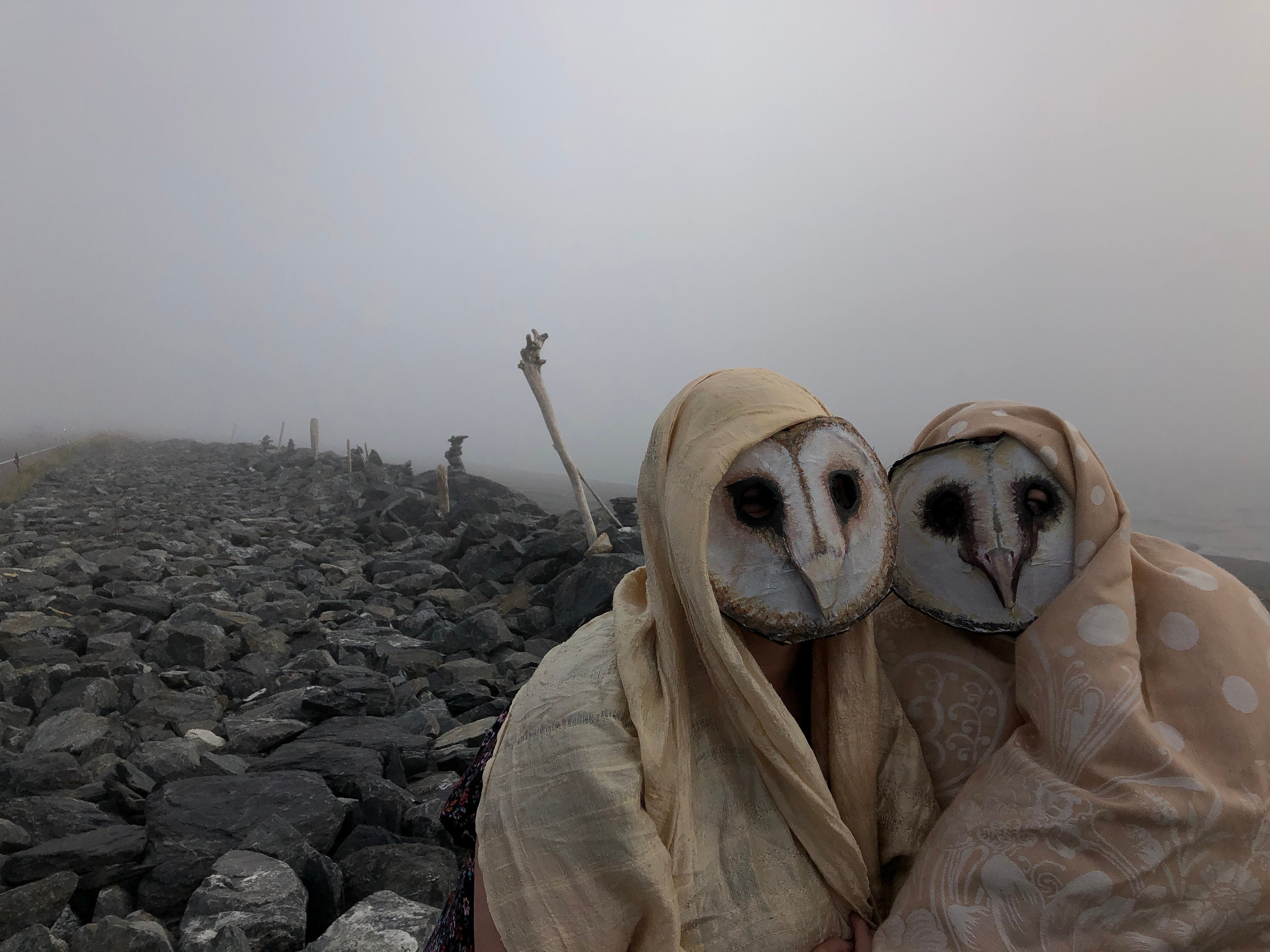 Barn Owl Masks, Group Masquerade Costume, Halloween Prop, Set of 2 Carnival Masks