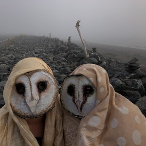 Hand made, hand painted owl masks, with black rimmed eye holes and delicate beaks. These masks are great for Halloween, costume and masquerade parties, photo and video props, and fun times.