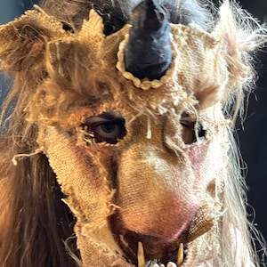 Monster Mask - Adult Halloween Costume - Cosplay, Larp, Handmade Custom Movie Props