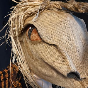 Könnte beinhalten: Nahaufnahme eines Vogelscheuchenkopfes aus Jute. Die Vogelscheuche hat bemalte orange und schwarze Augen, Strohhaare und ein Jutegesicht. Die Vogelscheuche trägt ein gemustertes orange-schwarzes Hemd. Das Gesamtthema ist Halloween.