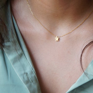 May include: A gold chain necklace with a small turtle pendant.