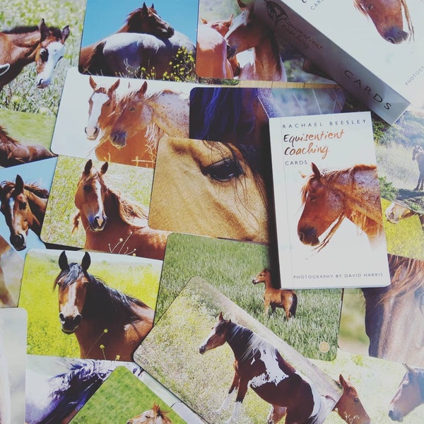 Cartes d’entraînement équisentientes capturant la nature spirituelle, curative et intuitive des chevaux sauvages dans un deck de 44 cartes et guide d’accompagnement