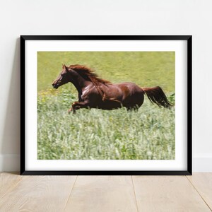 Fine Art Print atemberaubende Wild American Horse Giclée Wand Kunstdruck