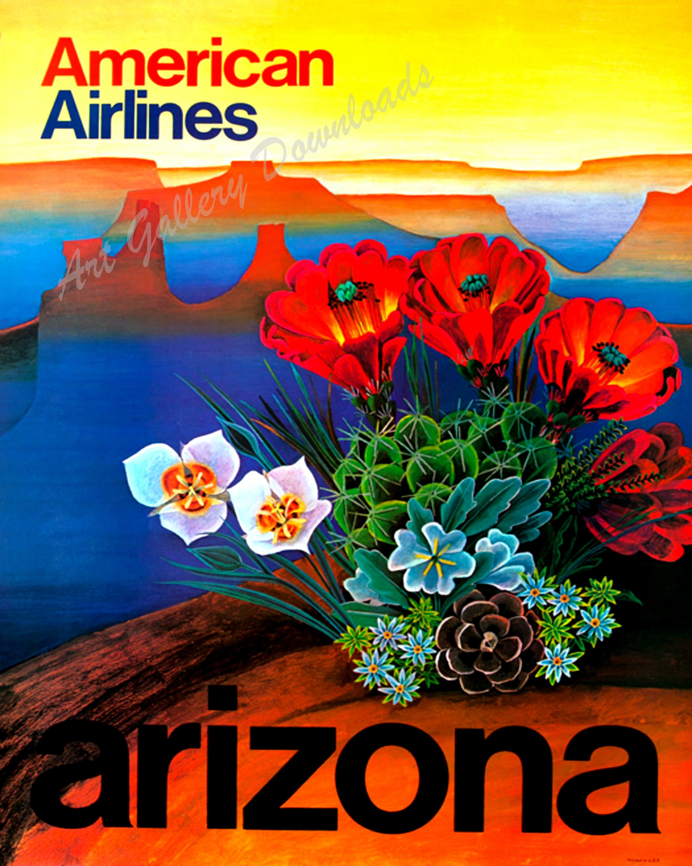 Arizona Southwest United States America Vintage Travel Advertisement Art Poster 