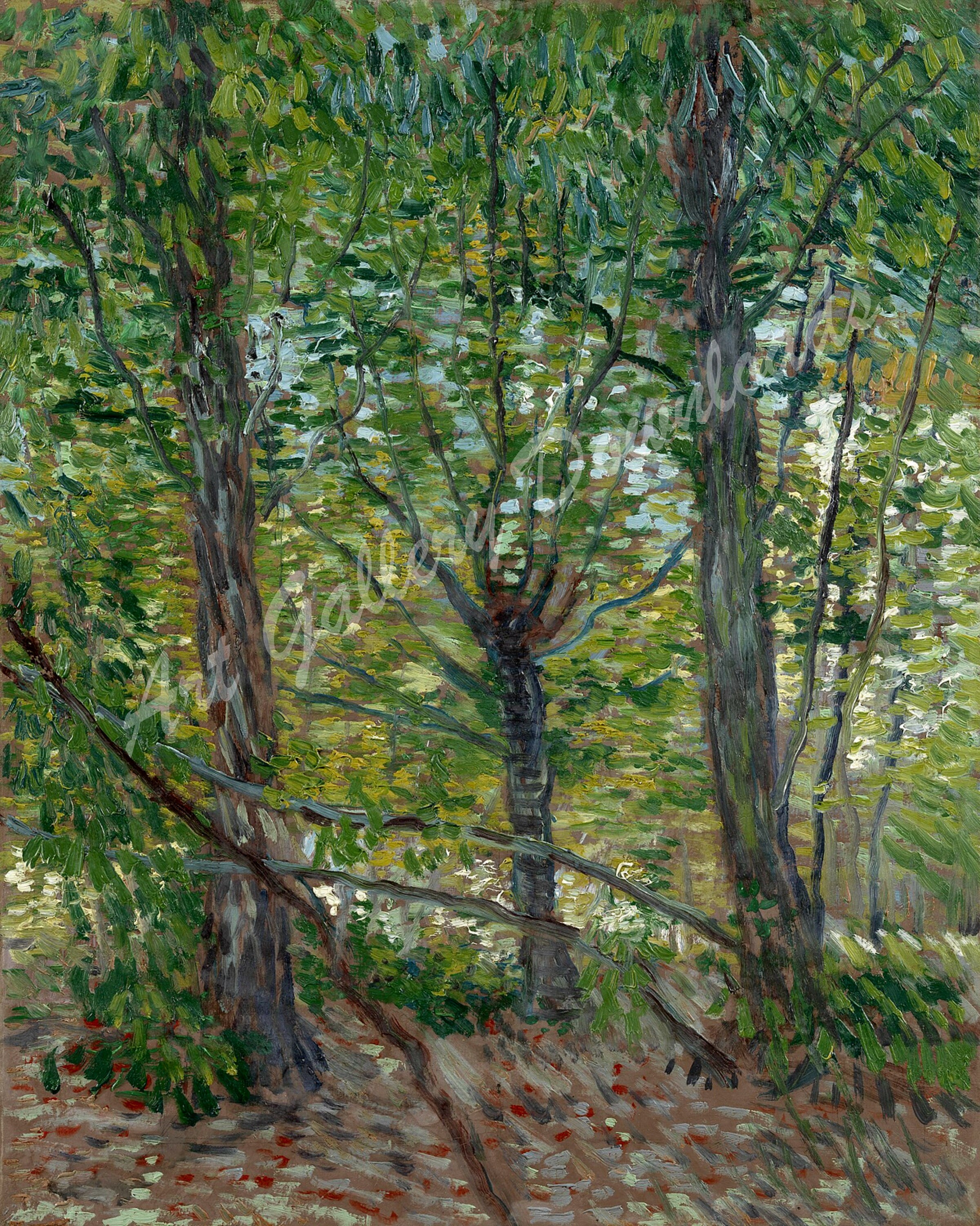 Vincent van Gogh Bomen en kreupelhout 1887 Van Gogh - Etsy Nederland