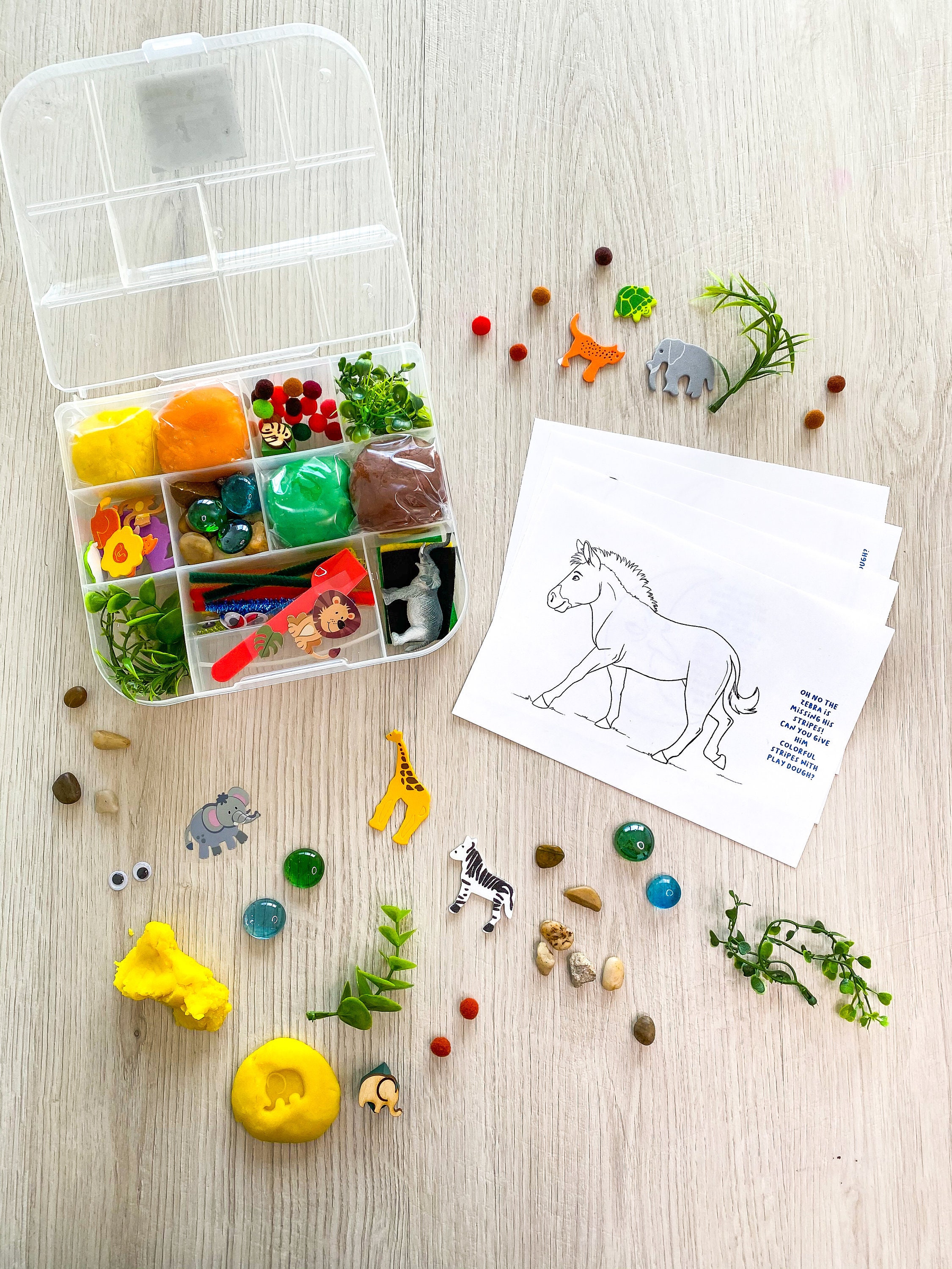 Safari Theme Kids Sensory Play activity kit - includes (4) colors