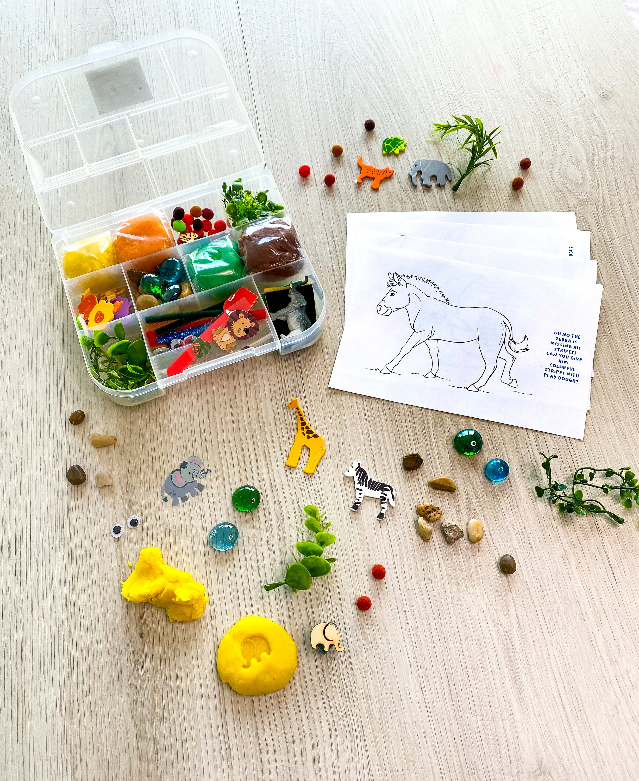 Safari Theme Kids Sensory Play activity kit includes (4) colors of