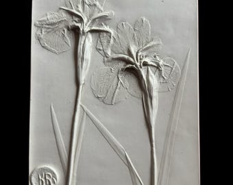 Iris Botanical Bas Relief Art: Framed Plaster Wall Hanging