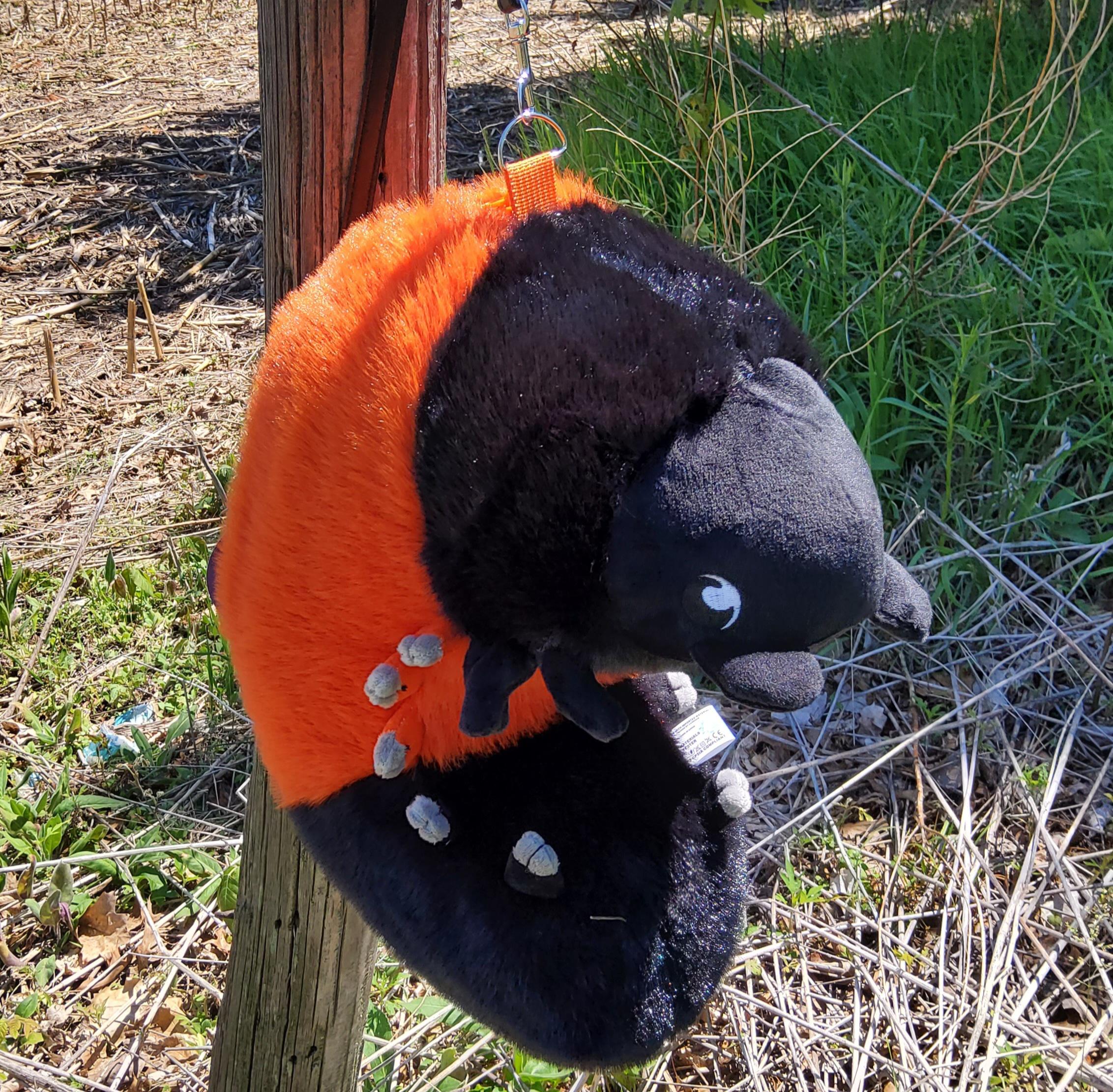 Insect Teddy Woolly Bear Caterpillar Plush Bag - Insect Invertebrate Larvae Invert ...