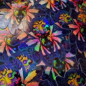 Typhochlaena seladonia holographischer Aufkleber - Brasilianische Juwelen-Vogelspinne - Spinnen-Spinnentier wirbellose neue Welt T. seladonia holo Regenbogen