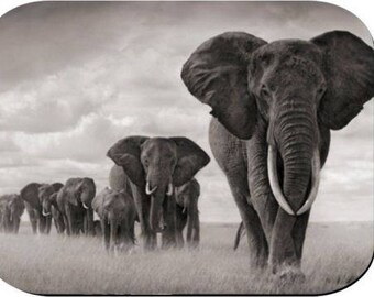 Mouse Pad - Elephants