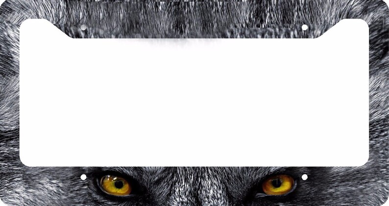 License Plate Frame Gray Wolf Yellow Eyes - Etsy