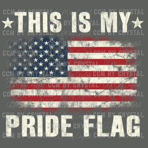US Flag This is My Pride Flag Fourth of July Patriotic Transfer Direct to Film Transfer DTF Transfer