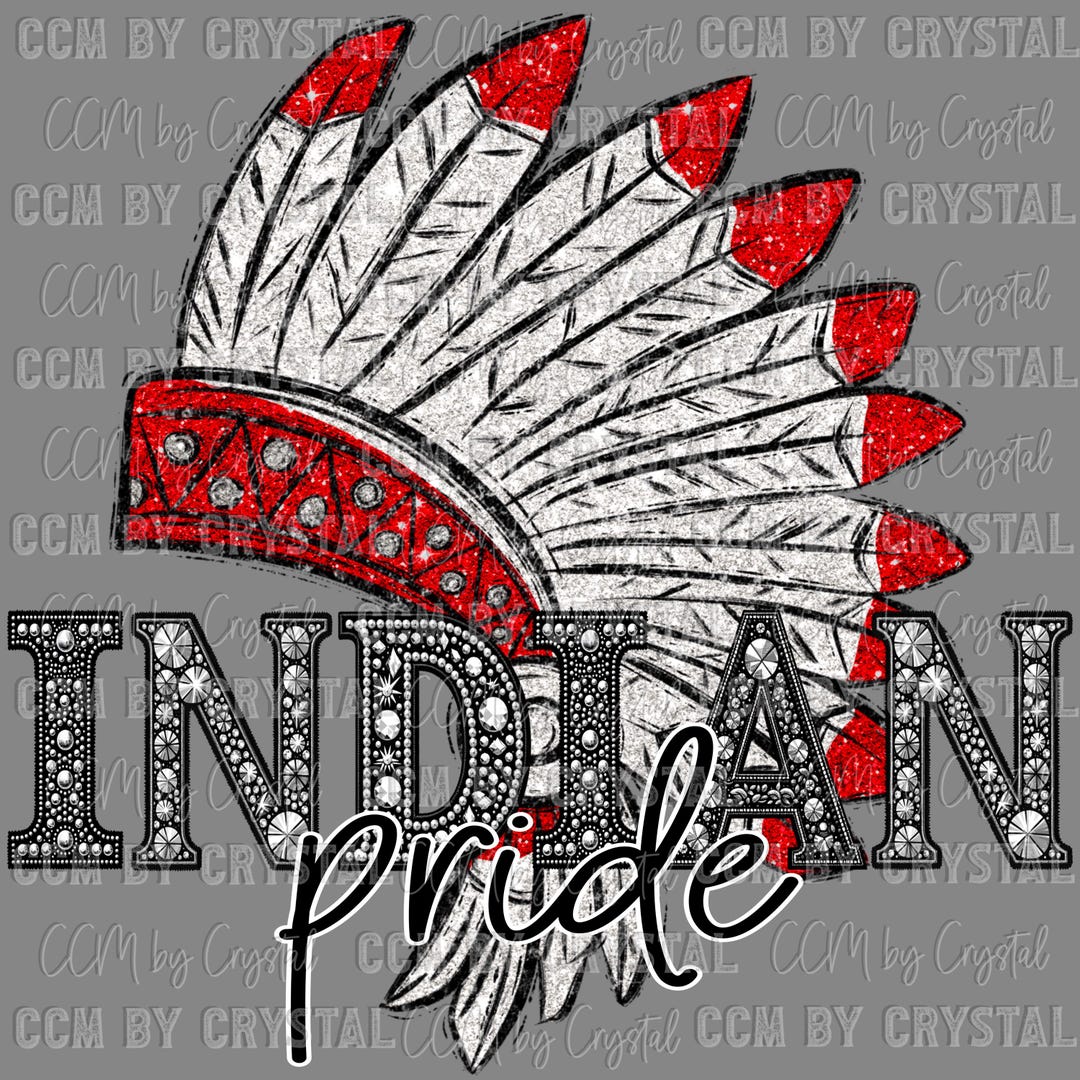 Pride Rhinestone Transfer Indian Pride Ready to Press Transfer Direct to Film DTF Transfers ...