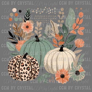 Op de afbeelding: Digitale illustratie met drie pompoenen in herfstkleuren. Eén heeft een luipaardprint, een andere is lichtgroen en de derde is wit. Oranje, groene en bruine bloemelementen omringen de pompoenen. De achtergrond is grijs.