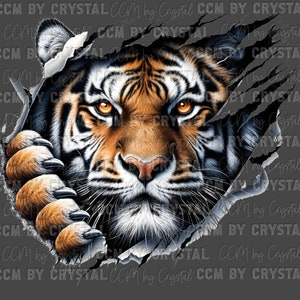 May include: A close-up of a tiger's face peering through a ripped piece of gray fabric. The tiger has orange and black stripes and piercing yellow eyes.