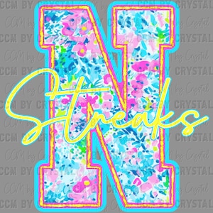 May include: A floral patterned letter "N" in pink, blue, and white, outlined in yellow and light blue. The word "Streaks" is written in a yellow script across the letter. The design is on a gray background.