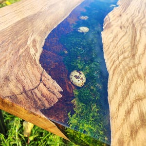 Pode incluir: Uma mesa de madeira com um rio de resina azul claro correndo pelo centro. A resina cont&eacute;m musgo e ovos de codorniz. A mesa &eacute; feita de madeira natural com um acabamento r&uacute;stico.