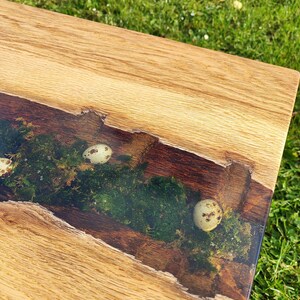 Pode incluir: Um tampo de mesa de madeira com uma incrusta&ccedil;&atilde;o de resina ep&oacute;xi transparente. A incrusta&ccedil;&atilde;o apresenta um desenho de musgo verde com pequenos ovos de codorniz brancos.