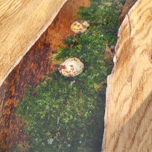 Pode incluir: Um close-up de uma mesa de madeira com um rio de resina ep&oacute;xi transparente a correr pelo centro. A resina cont&eacute;m musgo e v&aacute;rios ovos pequenos, salpicados e brancos.