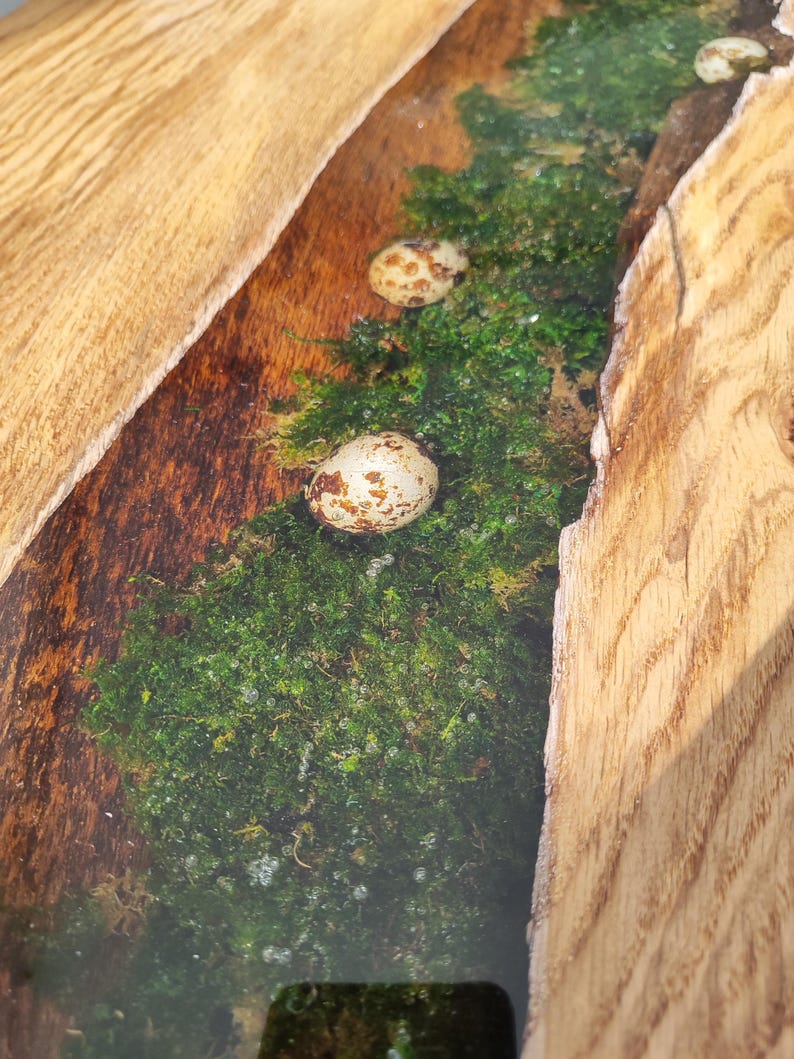 Pode incluir: Um close-up de uma mesa de madeira com um rio de resina ep&oacute;xi transparente a correr pelo centro. A resina cont&eacute;m musgo e v&aacute;rios ovos pequenos, salpicados e brancos.