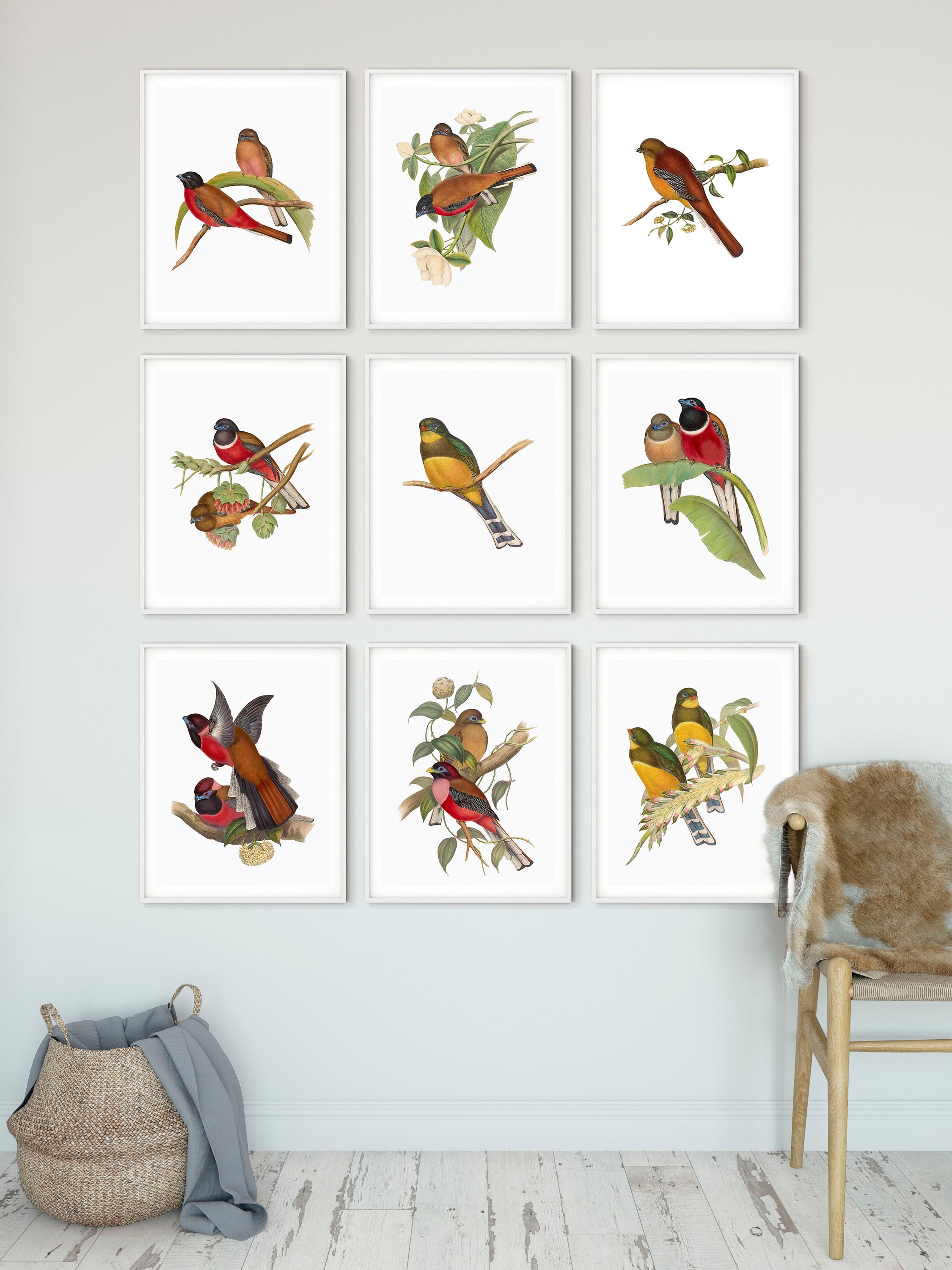 希少 アート 大型本 TROPIAAL ART Birds and Leaves Songbirds Art Print, Tree of Life, Tropical Bird Painting