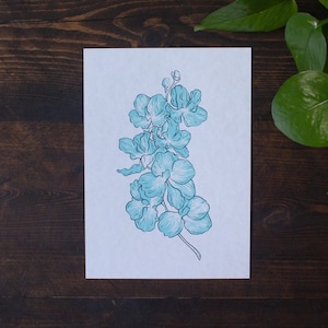 Blaue Orchidee | 13x18 Siebdruck | Wassermann Geburtsblume