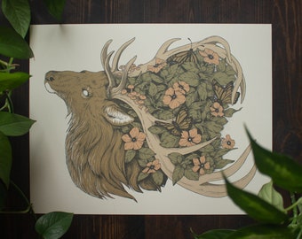Alcaide / 11x14 Impresión de Arte / Ilustración de Naturaleza y Vida Silvestre