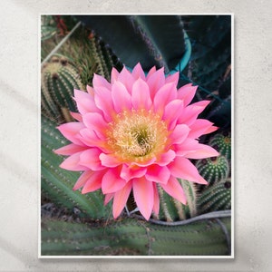 Rosa Echinopsis Kaktus Blume Foto, Floraler digitaler Kunstdruck, vertikaler Digitaldruck, Sofortiger Download