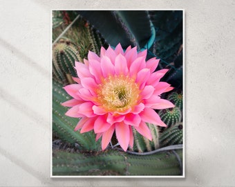 Pink Echinopsis Cactus Flower photo, Floral digital art print, Vertical Digital Print, Instant Download