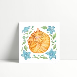 A tabby orange cat curled up with a happy face, surrounded by star-shaped blue flowers and green leaves.