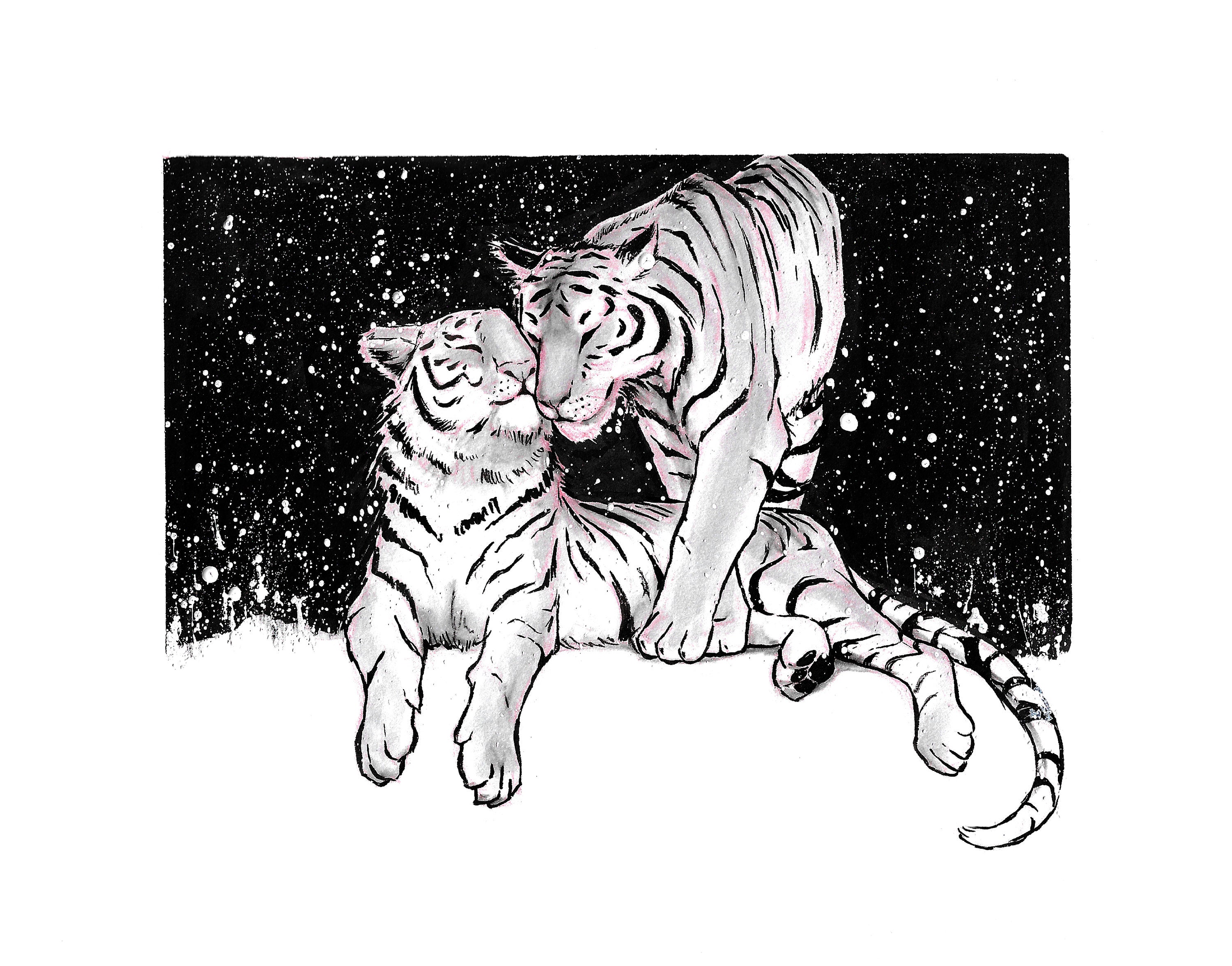 valentine-s-day-gift-tiger-print-tiger-illustration-etsy