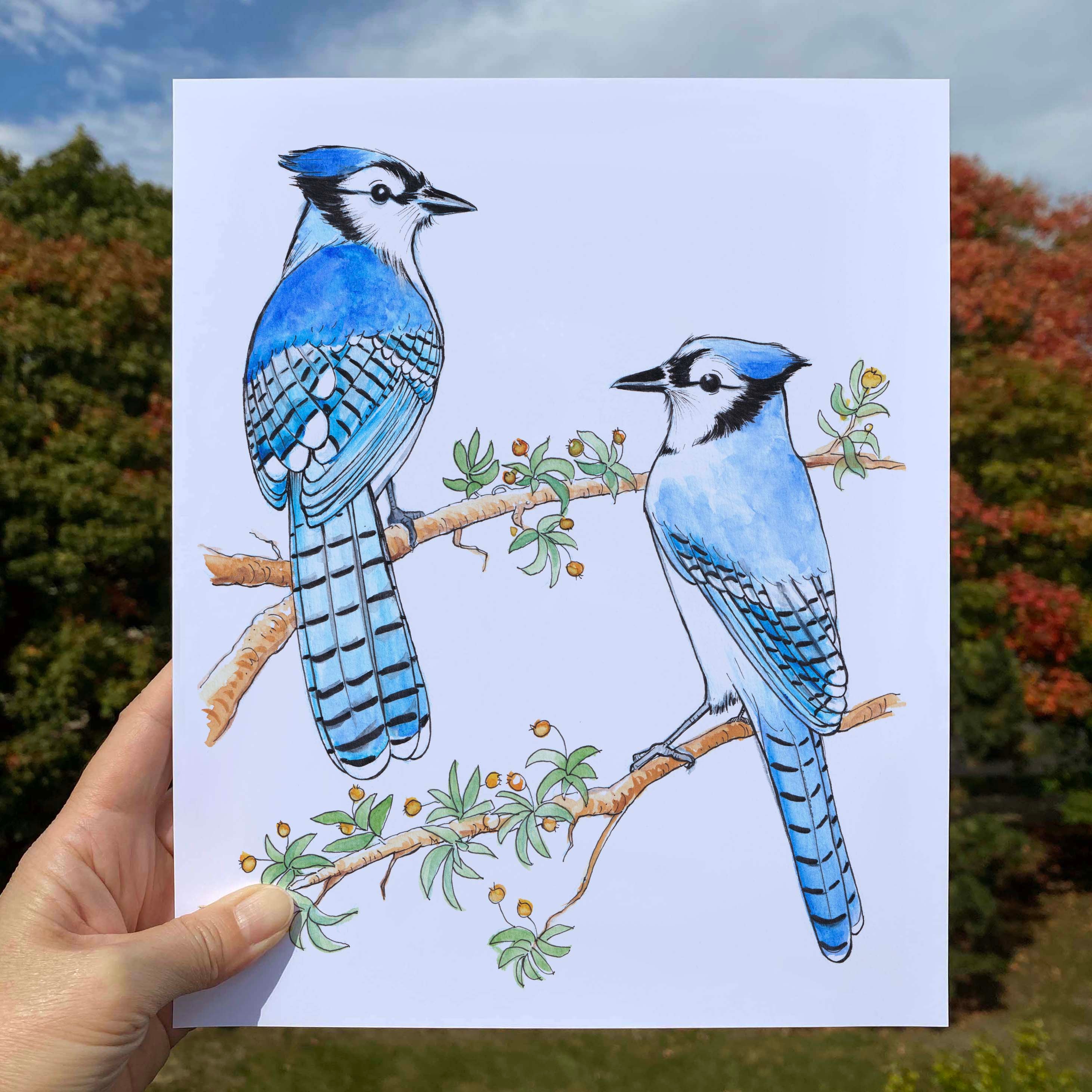 Blue Jay Couple Watercolor Print: Bird Botanical Art (10x8 In) - Etsy