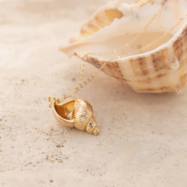 Gold Seashell - Etsy