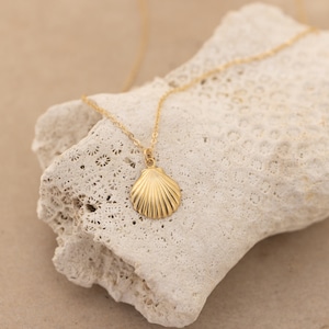 14k Gold Filled Dainty Shell Necklace, Delicate Shell Necklace, Gold Shell Necklace, Tiny Shell Necklace, Sea Mermaid Shell Necklace Gift