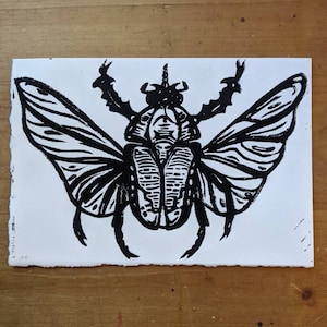 Hercules Beetle Relief Print