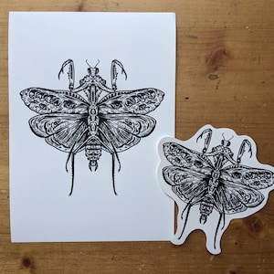 Praying Mantis Archival Print + Sticker