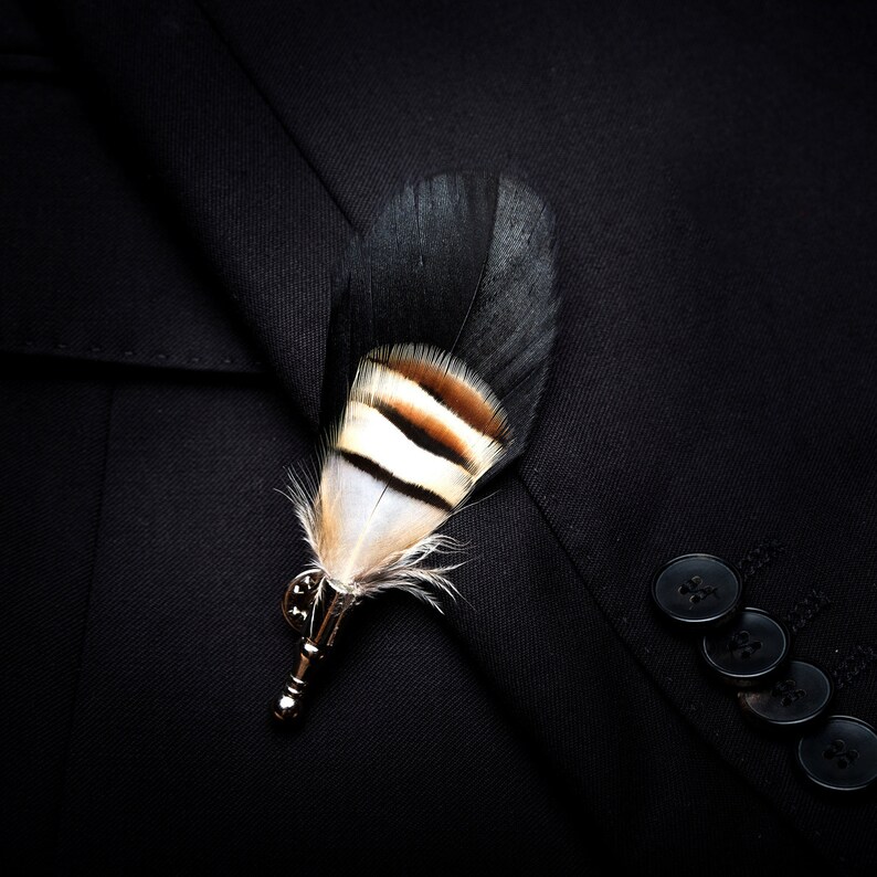 May include: A black and white feather with a brown stripe is pinned to a black fabric background. The feather is attached to a metal pin.