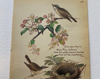 Edith Holden Vintage March Pages Country Diary of an Edwardian Lady Nature Ephemera Scrapbooking Junk Journalling Birds Eggs Flowers Edith Holden Vintage March Pages Country Diary of an Edwardian Lady Nature Ephemera Scrapbooking Junk Journalling Birds Eggs Flowers