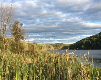 Matin au bord du lac