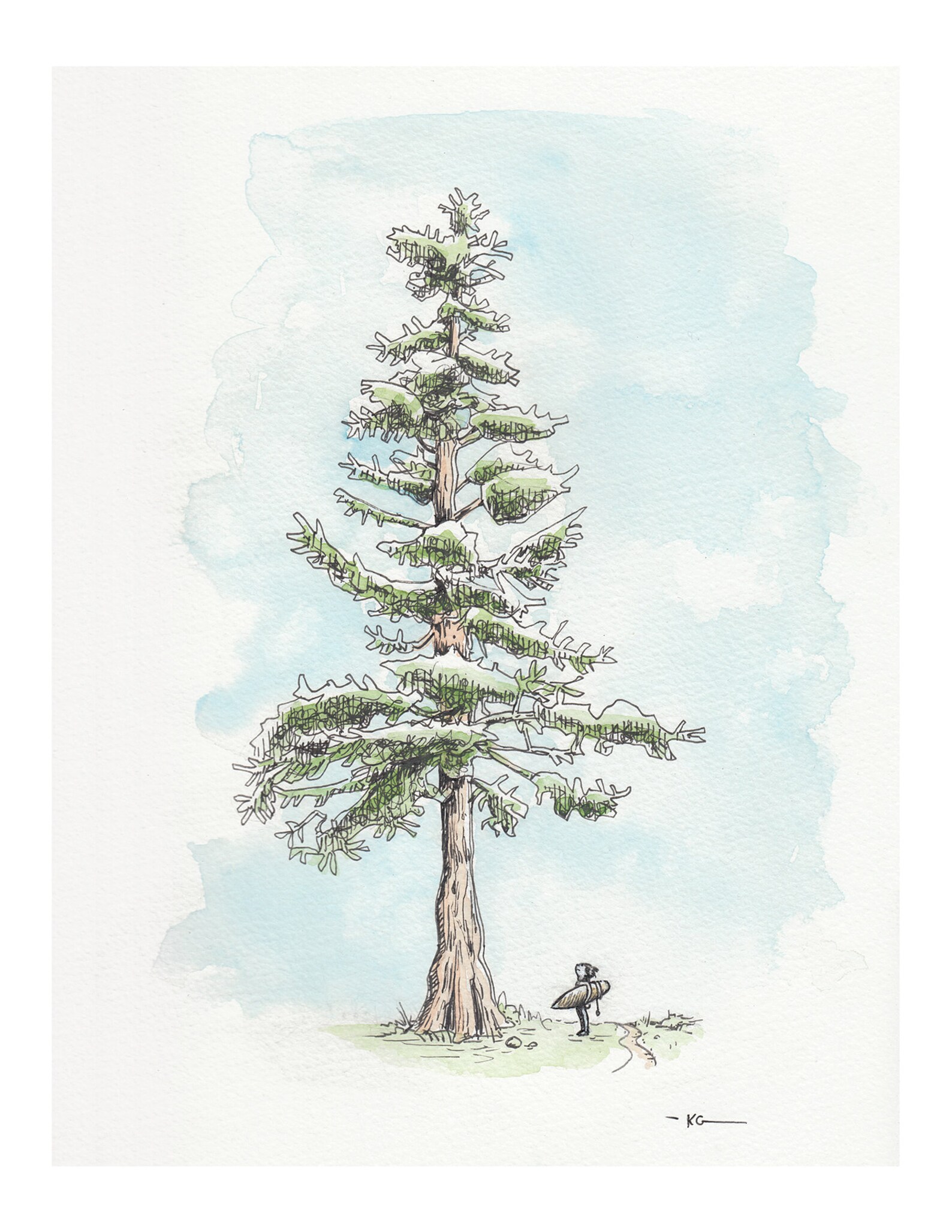 Watercolour Tree Print Wall Art Cedar Tree Art Print Etsy